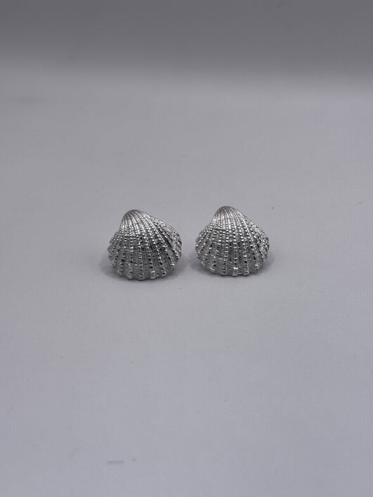 Shell Stud Earrings