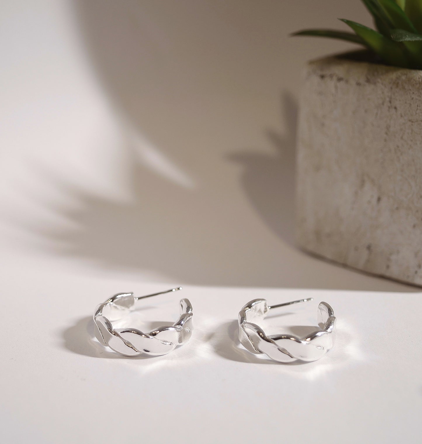 Braid Flat Hoops Earrings